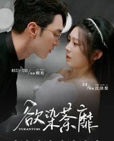 [searchlist:name] 封面