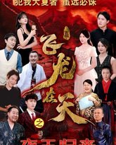 飞龙在天之夜王归来 高清封面