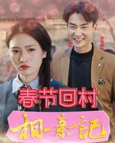 春节回村相亲记 高清封面