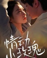 情动小玫瑰 高清封面