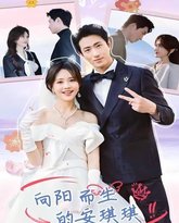 向阳而生的安琪琪 高清封面