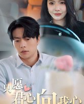 只愿君心向我心 高清封面