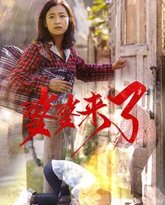 婆婆来了 高清封面