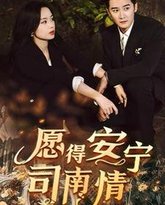 愿得安宁司南晴 高清封面