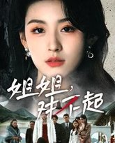 姐姐对不起 高清封面