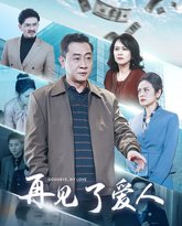 再见了爱人 高清封面