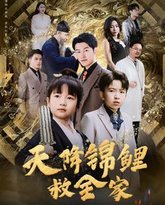 天降锦鲤救全家 高清封面