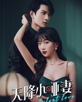 天降小哑妻 高清封面