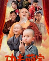 功夫萌宝 高清封面