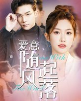 爱意随风起落 高清封面