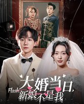 大婚当日新娘不是我 高清封面