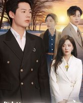 似此星辰非昨夜 高清封面