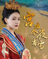 宫墙今夜有雪 高清封面