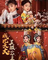 戏比天大之真假小公主 封面