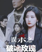 误杀之破冰玫瑰 高清封面