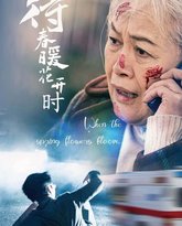 待春暖花开时 高清封面