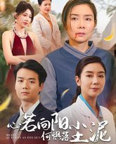 心若向阳何惧落尘泥 封面