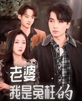 老婆我是冤枉的 高清封面