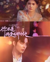 你不是我爱的那个他 高清封面