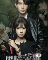 黑暗荣耀 高清封面