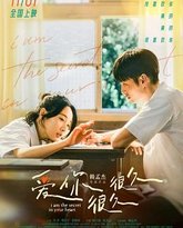 爱你很久很久 夏日的柠檬草 热播剧封面