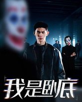 我是卧底 高清封面