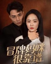 冒牌妈咪很靠谱(她似迷雾) 高清封面