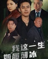 我这一生如履薄冰 高清封面