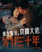 重生断亲京圈大佬等我三十年 高清封面