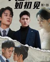 人生若只如初见 高清封面