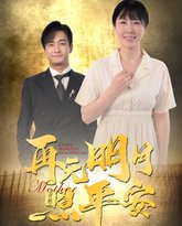 再无明月照平安 封面