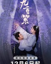 九重紫 高清封面