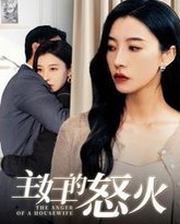 主妇的怒火 高清封面