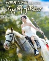 闪婚死对头后夫人在豪门杀疯了 高清封面