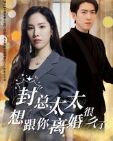 封总太太想跟你离婚很久了 高清封面