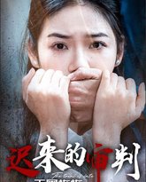 天网恢恢之迟来的审判 高清封面