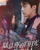 陆总你的白月光是落魄美人 高清封面