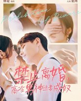 禁止离婚，高冷男神追妻成奴 高清封面