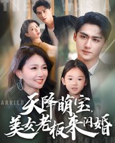 天降萌宝美女老板来闪婚 高清封面