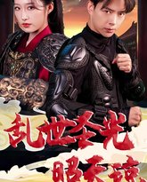 乱世圣光照天琼 高清封面