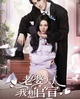 老婆大人我想官宣 高清封面
