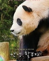 再见，福宝 高清封面