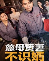 慈母贤妻不识婿 高清封面