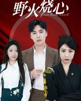 野火烧心 高清封面