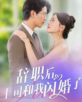 辞职后上司和我闪婚了 高清封面