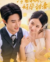 冷面机长的好孕甜妻 高清封面