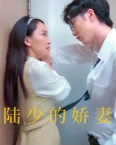 陆少的娇妻 高清封面