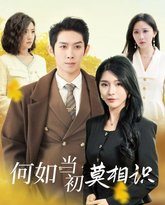 何如当初莫相识 封面