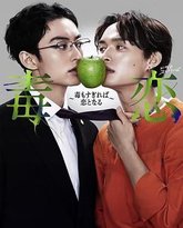 毒恋～毒过了头就会变成恋爱 高清封面