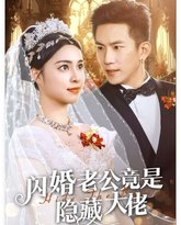 新闪婚老公竟是隐藏大佬 高清封面